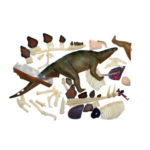 Об'ємні анатомічні моделі Об`ємна модель 4D Master Стегозавр