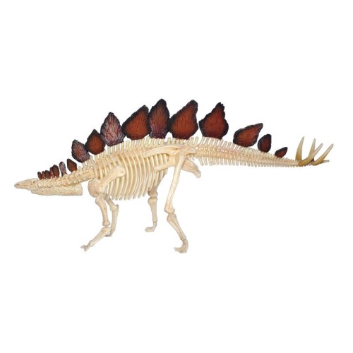 Об'ємні анатомічні моделі Об`ємна модель 4D Master Стегозавр