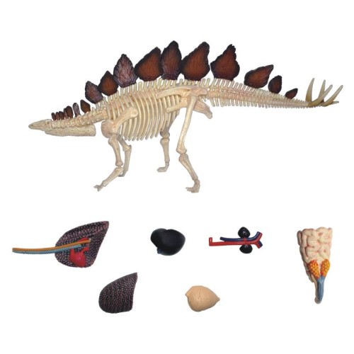 Об'ємні анатомічні моделі Об`ємна модель 4D Master Стегозавр