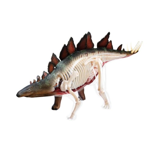 Об'ємні анатомічні моделі Об`ємна модель 4D Master Стегозавр