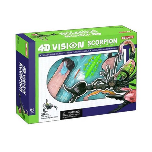 Об'ємні анатомічні моделі Об`ємна модель 4D Master Скорпіон