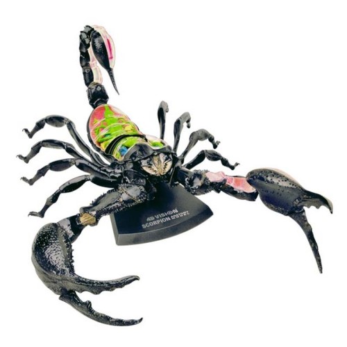 Об'ємні анатомічні моделі Об`ємна модель 4D Master Скорпіон