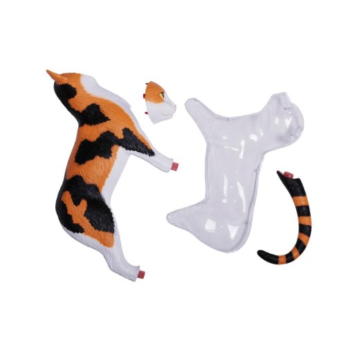 Об'ємні анатомічні моделі Об`ємна модель 4D Master Кіт