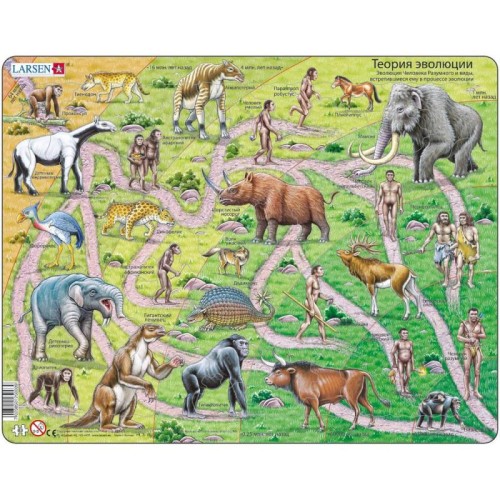 2D Пазли Пазл рамка-вкладиш LARSEN Теория еволюції