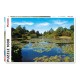 2D Пазли Пазл PIATNIK Тихий пруд, 1000 елементів