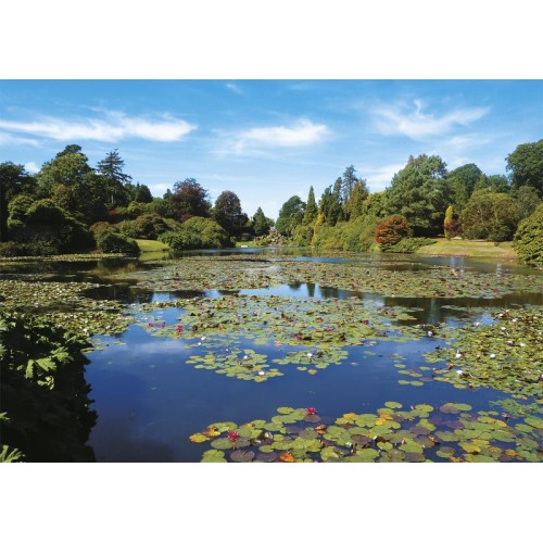 2D Пазли Пазл PIATNIK Тихий пруд, 1000 елементів