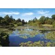 2D Пазли Пазл PIATNIK Тихий пруд, 1000 елементів