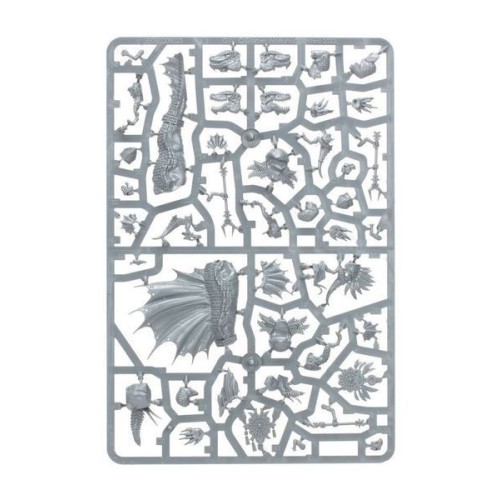 Seraphon Набір мініатюр AGE OF SIGMAR: SERAPHON - SPAWN OF CHOTEC