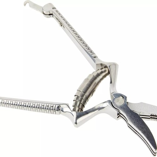 Різне Болт із гайкою для м’ясних ножиць Victorinox 7.6380.08 Різне Болт із гайкою для м’ясних ножиць Victorinox 7.6380.08