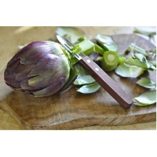 Картоплечистка Victorinox 5.0209