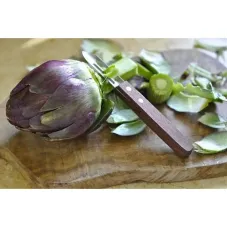 Овощечистка (2 лезвия) Victorinox 5.0209