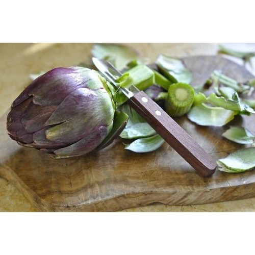 Кухонные принадлежности Овощечистка (2 лезвия) Victorinox 5.0209