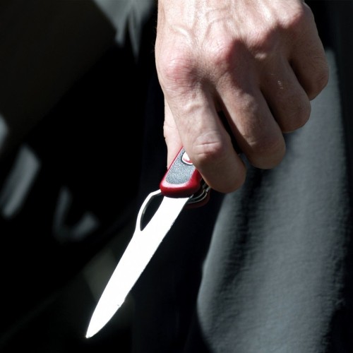 Ножи и мультитулы Victorinox Швейцарский складной нож 130мм Victorinox RANGER GRIP 61 0.9553.MC