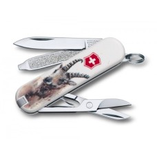 Складаний  ніж Victorinox Classic 0.6223.L1610