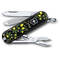 Складаний  ніж Victorinox CLASSIC LE 0.6223.L1905
