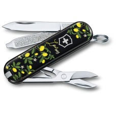 Складаний  ніж Victorinox CLASSIC LE 0.6223.L1905