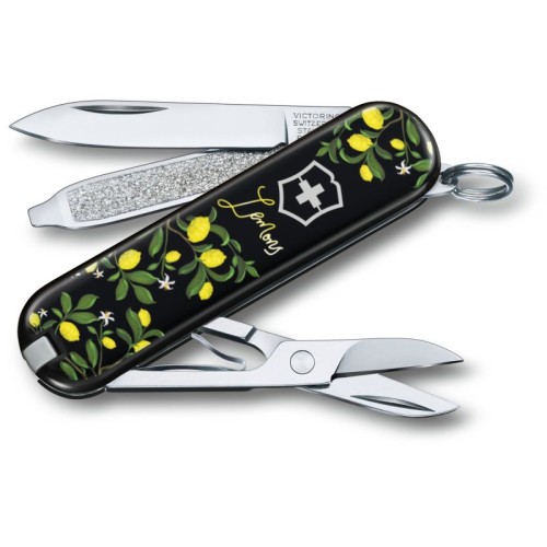 Ножі та мультитули Victorinox Складаний ніж Victorinox CLASSIC LE 0.6223.L1905