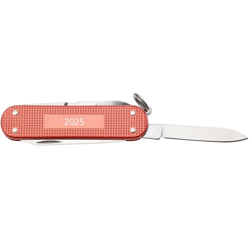 Ножі та мультитули Victorinox Складаний ніж Victorinox CLASSIC SD Stone Red 0.6221.L25