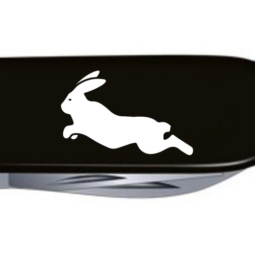 Ножи и мультитулы Victorinox Швейцарский складной нож 91мм Victorinox SPARTAN ZODIAC 1.3603.3_Z2170u