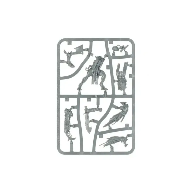 Мініатюра WARHAMMER 40000: TAU EMPIRE - KROOT FLESH SHAPER