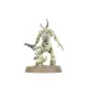 Набір мініатюр MAGGOTKIN OF NURGLE: THE PUSTULES