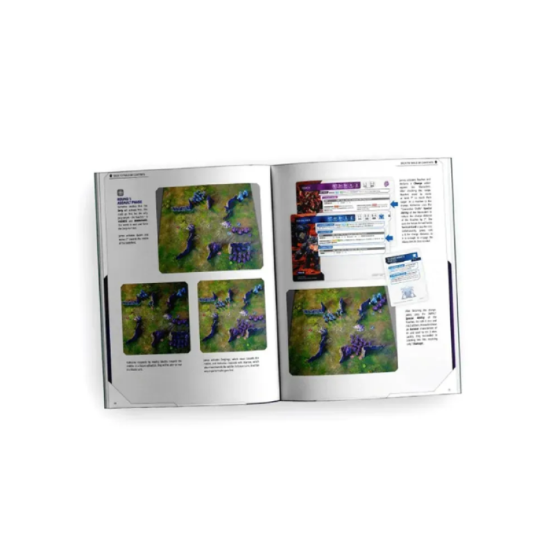Книга правил RULEBOOK