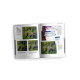 Книга правил RULEBOOK