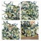Набір мініатюр SPEARHEAD: MAGGOTKIN/NURGLE:BUBONIC CELL