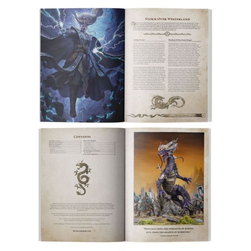 Журнал ARCANE JOURNAL: DAWN OF THE STORM DRAGON