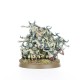 Набір мініатюр SPEARHEAD: MAGGOTKIN/NURGLE:BUBONIC CELL
