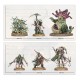 Набір мініатюр SPEARHEAD: MAGGOTKIN/NURGLE:BUBONIC CELL