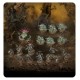 Набір мініатюр SPEARHEAD: MAGGOTKIN/NURGLE:BUBONIC CELL