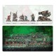 Набір мініатюр SKAVEN: SKRYRE WARPSWARM