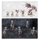Набір мініатюр AGE OF SIGMAR: DAUGHTERS OF KHAINE - SCATHBORN COVEN
