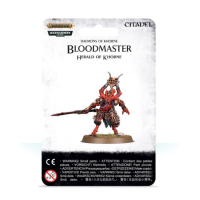 Мініатюра AGE OF SIGMAR: BLADES OF KHORNE - BLOODMASTER HERALD OF KHORNE