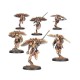 Набір мініатюр HORUS HERESY: LEGIO CUSTODES - VENATARI SODALITY