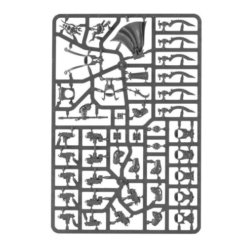Набір мініатюр THOUSAND SONS: SEKHMET COVEN