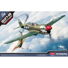 12341 USAAF P-40N «Битва за Импхал» 1:48