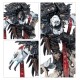 Мініатюра RAVEN GUARD: AETHON SHAAN
