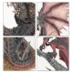 Мініатюра THE OLD WORLD: WARRIORS OF CHAOS - LORD ON CHAOS DRAGON