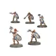 Набір мініатюр AGE OF SIGMAR - INTRODUCTORY SET (ENG)
