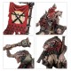 Набір мініатюр AGE OF SIGMAR - INTRODUCTORY SET (ENG)