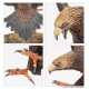 Набір мініатюр Games Workshop MIDDLE-EARTH SBG: GREAT EAGLES